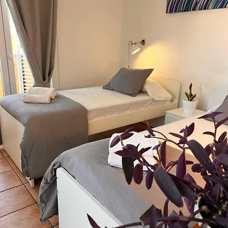 Hostal The Tree House Coliving