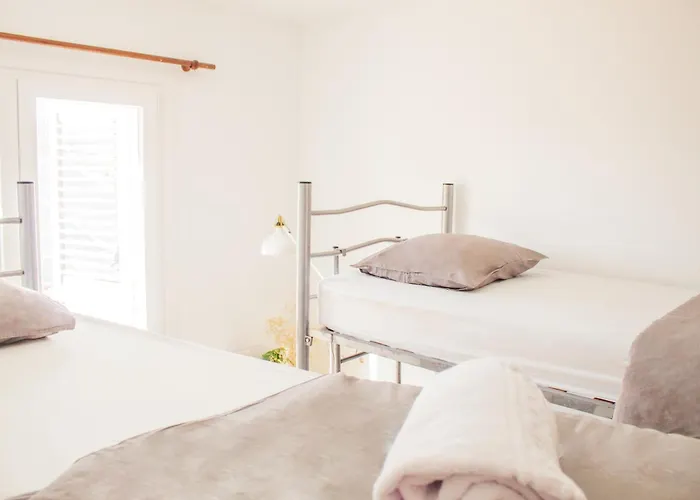 Auberge de jeunesse The Tree House Coliving