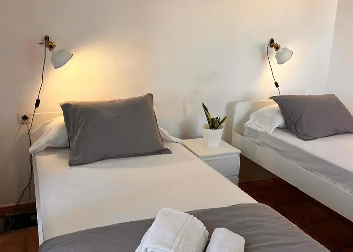 The Tree House Coliving Auberge de jeunesse