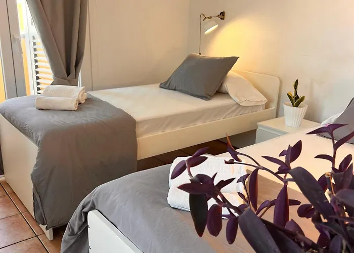 Auberge de jeunesse The Tree House Coliving